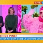 Kitten Kay Sera Instagram - When the biggest TV MORNING TALK SHOW IN Australia calls and says they want the exclusive on @pinktasticplastixx new music video …you pick up the phone !! Australia, attention Australia.💗 I will be on @morningshowon7 on Tuesday FEB 13th 9:45 AM 💗📺 THIS WILL BE MY 7th appearance on the show!!! WOO HOO!! 💗 make sure you tune in!!! We are discussing my all girl band @pinktasticplastixx & our new music video release with an exclusive clip !! 🎥💗Directed by @hausofremus & AD @noah_thanos .. featuring @mochi.ballz & STARRING: @alexa.drums @rockyrosemusic @celindachang @aurora.celena.bass Recorded at @thefunkyoven with @wes.styles My Hair & Makeup by @sotellrob_mua