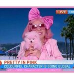 Kitten Kay Sera Instagram - When the biggest TV MORNING TALK SHOW IN Australia calls and says they want the exclusive on @pinktasticplastixx new music video …you pick up the phone !! Australia, attention Australia.💗 I will be on @morningshowon7 on Tuesday FEB 13th 9:45 AM 💗📺 THIS WILL BE MY 7th appearance on the show!!! WOO HOO!! 💗 make sure you tune in!!! We are discussing my all girl band @pinktasticplastixx & our new music video release with an exclusive clip !! 🎥💗Directed by @hausofremus & AD @noah_thanos .. featuring @mochi.ballz & STARRING: @alexa.drums @rockyrosemusic @celindachang @aurora.celena.bass Recorded at @thefunkyoven with @wes.styles My Hair & Makeup by @sotellrob_mua