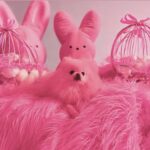 Kitten Kay Sera Instagram - pinkture purrfect 📷of my baby for Easter 💗🫶🏻 @pupnamedpinky at @thepinkpalace_ she got a pink peep doggy toy and I got my pink peeps .. 🐥 we are good!