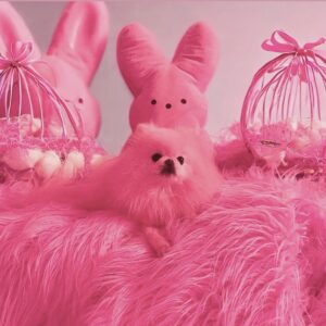Kitten Kay Sera Instagram - pinkture purrfect 📷of my baby for Easter 💗🫶🏻 @pupnamedpinky  at @thepinkpalace_ she got a pink peep doggy toy and I got my pink peeps .. 🐥 we are good!