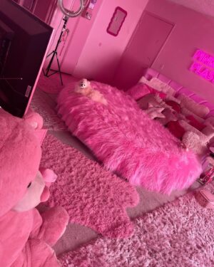 Kitten Kay Sera Instagram - I live in a dream - 💗🩷💗🩷