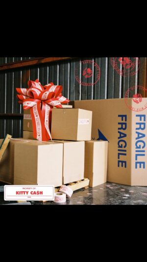 Kitty Cash Instagram - 1. Tracking 📦📦📦