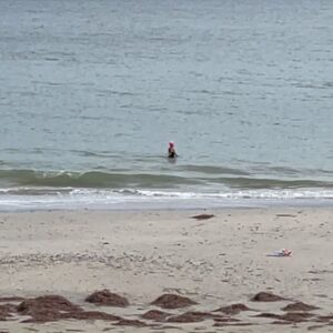Kitty Flanagan Instagram - Testing the waters in Adelaide at Henley Beach. Turns out you can swim anywhere as long as you’re prepared to look like a tit! #winterwarriers @brightonbathshealthclub