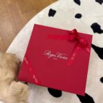 Ko Sung-hee Instagram – 🎁   🐕   ❤️ = Christmas Already🎄

💌 Special Thanks to @rogervivier 

너무 오랜만이죠, 잘 지내고들 계신가요?  miss-ya-all.