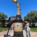 Ko Sung-hee Instagram – 🇺🇸🍷🥂🍕🥗 #mybirthdaytrip – 1 

▪️#wilsoncreekwinery 
▪️#pontewinery 
▪️#pontevineyardinn 🏡

At #Temecula
