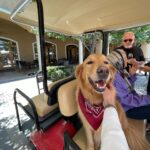 Ko Sung-hee Instagram – 🇺🇸🍷🥂🍕🥗 #mybirthdaytrip – 1 

▪️#wilsoncreekwinery 
▪️#pontewinery 
▪️#pontevineyardinn 🏡

At #Temecula