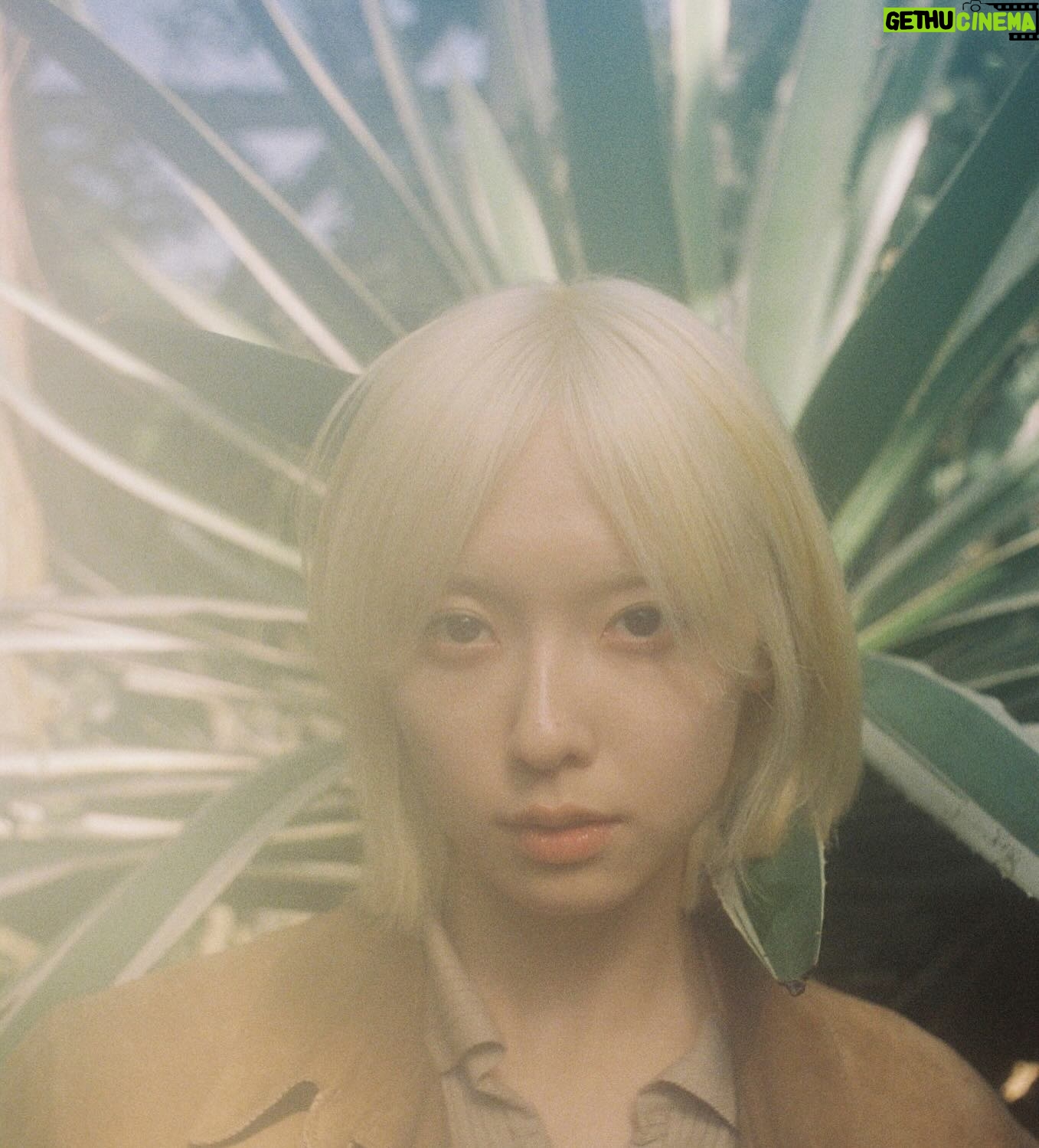 Konatsu Kato - 8.2K Likes -