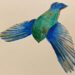 Kotone Furukawa Instagram – *
The dead bird showed their own beautiful wings.