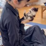 Kotone Furukawa Instagram - 【TV】NHK Eテレ『ねこのめ美じゅつかん』再放送のお知らせ😽 15歩め「ルドンの目ん玉は何を見てるの?」 再放送 8月19日(土)11:30/8月22日(火)15:45 ・ 16歩め「仙厓義梵の絵は“元祖ゆるキャラ”?」 再放送 8月24日(木)08:25 ・ むーちゃんが家に来たてのとき。 シングルキャットマザーになったとき。 むーは最近自分の家で一緒に暮らし始めた猫ですが、この話はいつかまた追々☺️