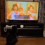 Kotone Furukawa Instagram - * She knows me🥹🥹🥹
