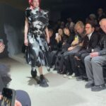 Kozue Akimoto Instagram – ⚫️Comme des Garçons⚫️
#pfw #commedesgarcons