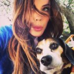 Krista Allen Instagram – Everyday we’re beaglin’ ….
❤️
*
*
#onset #filming #beagle #buddy #dogsofinstagram #love #thankful
