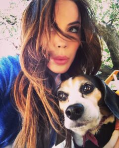 Krista Allen Instagram - Everyday we’re beaglin’ .... ❤️ * * #onset #filming #beagle #buddy #dogsofinstagram #love #thankful