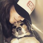Krista Allen Instagram - We have a few days off! ❤️ Flying home with Jake and our #SignificantBeagle, Jack!