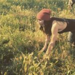 Krista Allen Instagram – Ba-aaaaad ass! Talking #goats!!! #Ritathegoat #Lunathegoat #Kristathegoat #Jakethegoat
#Arissathegoatwhisperer 
@jakemoritt @arissa_le_brock ❤💕❤💕❤💕❤💕❤💕