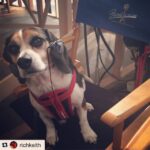 Krista Allen Instagram - #Repost @richkeith with @repostapp. ・・・ Our new director keeps barking orders. #SignificantBeagle @cwsignificantmother