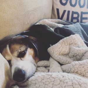 Krista Allen Instagram - My baby boy, Jack, is resting comfortably and we both so appreciate all the sweet messages and concern! It means so much!! I’m just laying here watching him sleep, thanking God he’s doing better!!!❤️🙏🏻❤️
