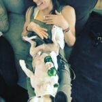 Krista Allen Instagram – Beergle.

#stellaartois #beagle #imfine #pups #boozehound credit: @valbot