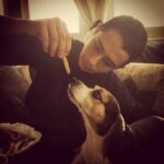 Krista Allen Instagram – A boy and his beagle and a fry that is French. #SONday