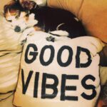 Krista Allen Instagram – On today’s episode of “I’m Fine.” … we find a happy medium! 
Celebrity Psychic Healer, @psychicgirl answers your questions! We had over 300 emails come through and we picked about 10 lucky listeners! Also, Jusstine schools all of us on how to ask a proper freakin’ question to a psychic to get the most out of your session! (ie… Don’t ask the fluffy stuff or random yes or no questions!! ) You can find Jusstine at Psychicgirl.com! …But first, listen and subscribe and rate my podcast 5 stars and leave a comment … because, you love me. (My psychic told me so.)
https://itunes.apple.com/us/podcast/im-fine-with-krista-allen/id1264142837?mt=2#episodeGuid=66045e415d805760079e0fa558a8b117
*
*
#psychic #podcast #goodvibes #subscribe #relationshipgoals #life #love #psychicgirl #listen #learning #velvethammer