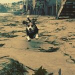 Krista Allen Instagram – Jack is the happiest beagle of all! ❤️