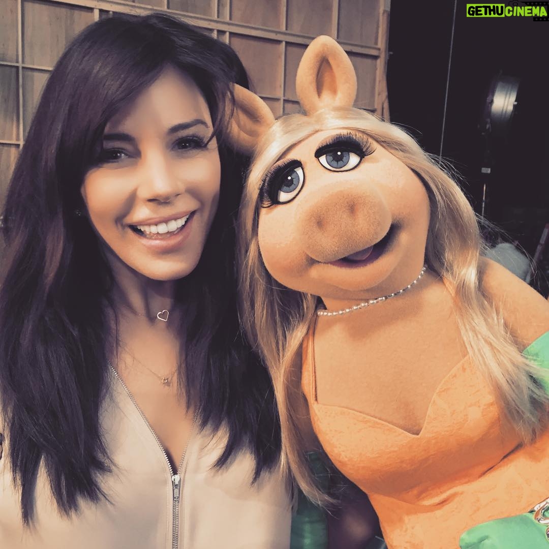 Krista Allen - 2.1K Likes - ❤️❤️❤️❤️❤️❤️
@themuppetsabc