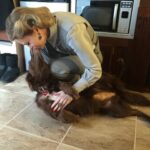 Kristin Bauer Instagram – Such an easy speech to give – to honor @lanaparrilla with a #waggyawards 🥇💓

Of course I cried through half of it as I adore Lana and all who knew sweet Lola feel for Lana’s loss. Swipe through and you’ll see I knew Lola intimately. 💋 👅😍.
What I also love about that sequence of photos is it shows how fun Lana is! She knew that 👅 was comin my way and sat back taking play by play shots! 🤣😂🤣 I f^*ing dig that about Lana. She loves to laugh and so do I! So much love all around!! I’m So grateful for knowing a lady with such a huge heart! ♥️ 

#repost @lanaparrilla 
Never too late… ❤️

A big thank you to my girl @kristinbauer for presenting my Honouree Award at the @thetailwaggersfoundation #waggyawards I love you sister friend 💋🥰🐶🙏🏽 

And to my Angel Lola 🕯️ I miss you more than words can express… #truelove