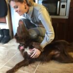 Kristin Bauer Instagram – Such an easy speech to give – to honor @lanaparrilla with a #waggyawards 🥇💓

Of course I cried through half of it as I adore Lana and all who knew sweet Lola feel for Lana’s loss. Swipe through and you’ll see I knew Lola intimately. 💋 👅😍.
What I also love about that sequence of photos is it shows how fun Lana is! She knew that 👅 was comin my way and sat back taking play by play shots! 🤣😂🤣 I f^*ing dig that about Lana. She loves to laugh and so do I! So much love all around!! I’m So grateful for knowing a lady with such a huge heart! ♥️ 

#repost @lanaparrilla 
Never too late… ❤️

A big thank you to my girl @kristinbauer for presenting my Honouree Award at the @thetailwaggersfoundation #waggyawards I love you sister friend 💋🥰🐶🙏🏽 

And to my Angel Lola 🕯️ I miss you more than words can express… #truelove