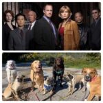 Kristin Bauer Instagram - School photos of my kids with their freinds on a #packhike ….OR a Hit TV show??? 🤔 #lawandorder #breakfastclub #dogs