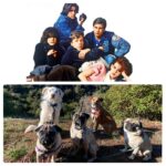 Kristin Bauer Instagram - School photos of my kids with their freinds on a #packhike ….OR a Hit TV show??? 🤔 #lawandorder #breakfastclub #dogs
