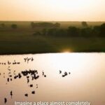 Kristin Bauer Instagram - Truly remarkable! Repost @africanparksnetwork @shailenewoodley visited @zakouma_national_park in Chad, which was recently featured in @BBCEarth. Shailene and BBC Planet Earth III cameraman Toby Strong, help tell the story of Zakouma’s transformation through their own eyes, as well as with conversations with a local guide, Brahmin Arabi. Shailene said “I think it’s really inspiring when you hear stories of destruction and then you come to a place and see how much it’s thriving and how beautiful it is”. Toby continued “Everywhere we go [in Zakouma] we meet heroes, local people, who are laying their lives on the line to protect their little bit of nature, their wild animals. There are Zakouma’s all over this earth of impassioned, local people who need to be championed and supported”. Brahim who has been working as a local guide over the years said “The nature is a holding source of the country. But we need someone to look after it and keep it safe. The people feel safe. The elephants feel safe”. African Parks entered into a long-term agreement with the government of Chad to manage @zakouma_national_park in 2010. Since that time, poaching has nearly been eliminated and for the first time in decades the elephant population (as well as for other key species) is on the rise, jobs have been created, schools have been built, and stability radiates from the park. #Zakouma #BBCPlanetEarth #GoodNews #shaileenwoodley