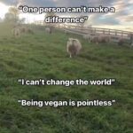 Kristin Bauer Instagram – Be kinder for YOUR SOUL. Let’s love ourselves enough to not harm Mother Earth and all her children. Not many want to cause suffering – so protect your immortal soul 🙏💗#eatlessmeat #nodairy #plantbased 

Raising animals for meat, eggs, and dairy takes a major toll on our planet. Not only does it use vast natural resources such as water and land, but it pollutes the air and water, leads to deforestation and biodiversity loss, and is a leading contributor to human-made greenhouse gas (GHG) emissions. In contrast, a study by researchers at the University of Copenhagen suggests that a vegan diet is the optimal diet for the environment because its production results in the lowest level of GHG emissions.

Ready to get started on your vegan journey? Click the link in our bio for our starter guide! 

🎥 @farmsanctuary 

#vegan #vegansofig #vegansofinstagram #plantbased #plantbaseddiet #plantbasedgourmet #veganfoodies #climatechange #fortheanimals #fortheplanet #sustainability