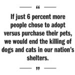 Kristin Bauer Instagram – Could you be part for the six percent that could end the killing of millions of healthy dogs and cats every year? 
Join me…it’s a happy place!
Animals are not products.
#puppiesnotproducts #adoptdontshop