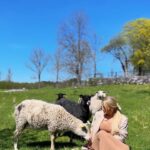 Kristina Petrushina Instagram - Får får får? 🐑 (och det är nu ni ska svara)