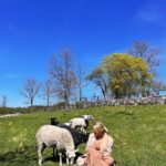 Kristina Petrushina Instagram - Får får får? 🐑 (och det är nu ni ska svara)