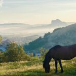 Kristina Tonteri-Young Instagram - And nothing pleaseth but rare accidents. 🙏🏼☀️🙏🏼 #antequera