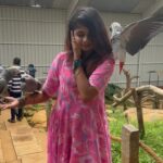 Kriti vamshini Instagram - When birds love you🤌🏻🦋❤️ #tamil #love #kollywood #thalapathy #tamilmemes #tamilcinema #tamilnadu #vijay #kerala #tamilactress #chennai #trending #tamilsong #instagram #tamilbgm #tamilstatus #tamilsongs #india #tiktok #thala #memes #tamilan #telugu #tamillyrics #vijaytv #tollywood #tamilmovie #tamily #bhfyp #tamillove
