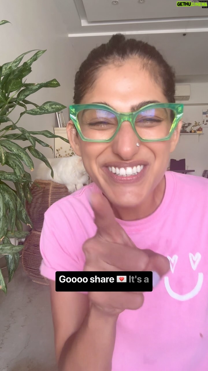 Kubbra Sait Instagram - Grammar badi “kutti” cheez hai.. 😂 Shmollll happinesss Jokh! Cat and comma… Just that this cat #ShifuSait cannot be bothered!!! #KubbraCracksBadJokes #KubbraCracksDadJokes #Joke #Funny #InstaReel #reelkarofeelkaro #Cat #Paws #Cute #Happiness #Love #Laugh #Live #KubbraSait #Sunday #Happy #India
