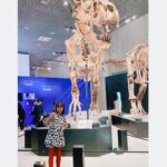 Kurumi Inagaki Instagram - 《出演情報》です🦖🦕🦖🦕 . #ＮＨＫスペシャル「#恐竜超世界２」の 取材会が行われました。 . ＊前編: #3月21日(火) 19時３０分 ＊後編: #3月26日(日) 21時〜 . 皆さんお待ちかねの#恐竜超世界 第2弾の放送です！ . 恐竜さんが大好きな方！ そして、恐竜さんをあまり知らない方！は この番組を観て大好きになってほしいです。 お子様をはじめ、たっくさんの方に観ていただきたいです！！！ 🦕 ・ 🦖 取材会が行われた 上野の #国立科学博物館 では 明日#3月14日 (火) から 「#恐竜博２０２３」が開幕します！！ (6月18日まで) テレビを観て博物館でもその迫力を体験してください！ . . . #NHK ハルカの大好きを大切に見守ってくれてる パパ役👨とママ役👩 #ココリコ田中直樹 さん #優香 さん ハルカ役 #稲垣来泉 #ゴンドワナ大陸 . #NHKプラス #NHKオンデマンド でも放送されます。 . . かわいい衣装 👗… @msgm_tokyo . .
