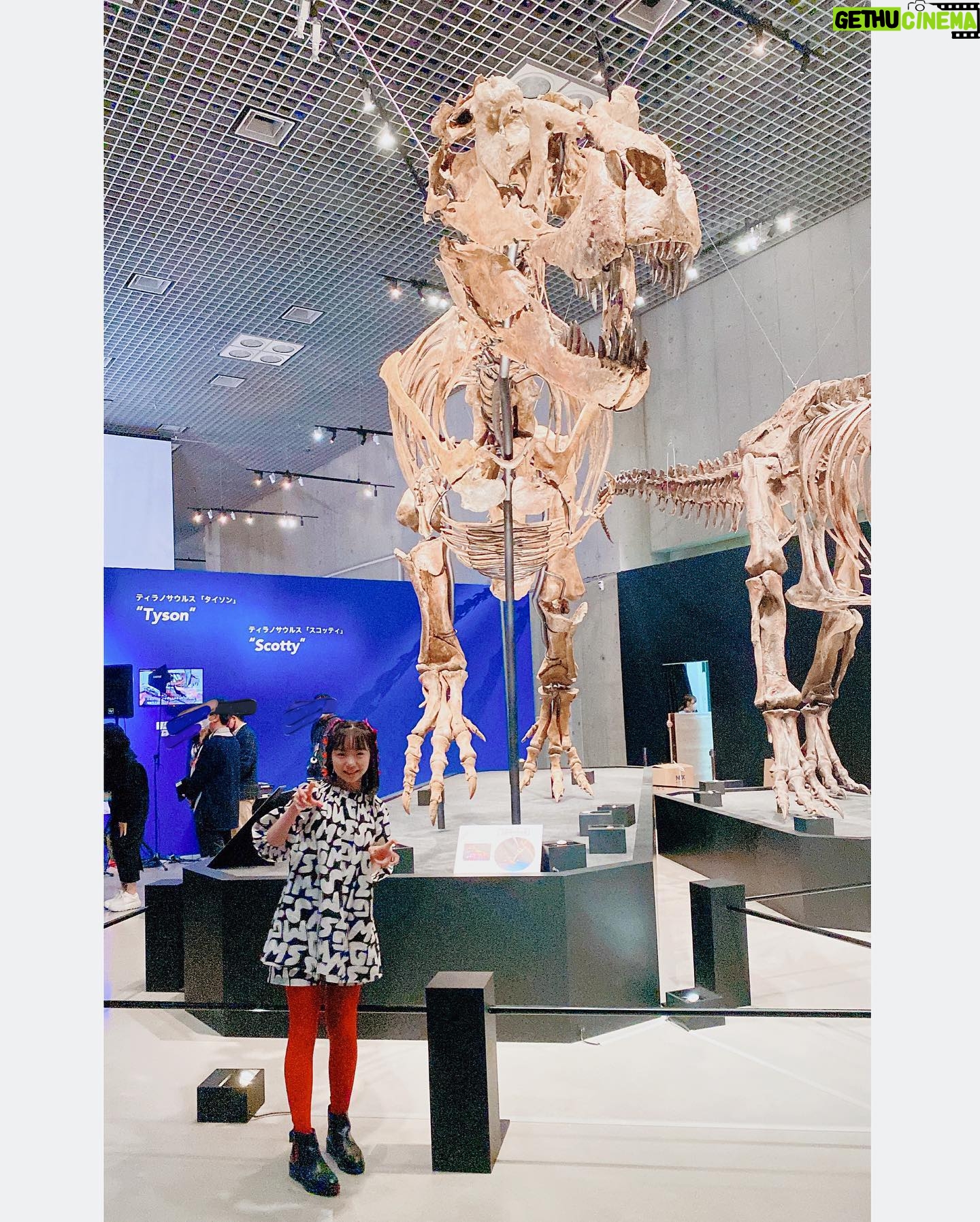 Kurumi Inagaki Instagram - 《出演情報》です🦖🦕🦖🦕 . #NHKスペシャル「#恐竜超世界2」の 取材会が行われました。 . *前編: #3月21日(火) 19時30分 *後編: #3月26日(日) 21時〜 . 皆さんお待ちかねの#恐竜超世界 第2弾の放送です! . 恐竜さんが大好きな方! そして、恐竜さんをあまり知らない方!は この番組を観て大好きになってほしいです。 お子様をはじめ、たっくさんの方に観ていただきたいです!!! 🦕 ・ 🦖 取材会が行われた 上野の #国立科学博物館 では 明日#3月14日 (火) から 「#恐竜博2023」が開幕します!! (6月18日まで) テレビを観て博物館でもその迫力を体験してください! . . . #NHK ハルカの大好きを大切に見守ってくれてる パパ役👨とママ役👩 #ココリコ田中直樹 さん #優香 さん ハルカ役 #稲垣来泉 #ゴンドワナ大陸 . #NHKプラス #NHKオンデマンド でも放送されます。 . . かわいい衣装 👗… @msgm_tokyo . .