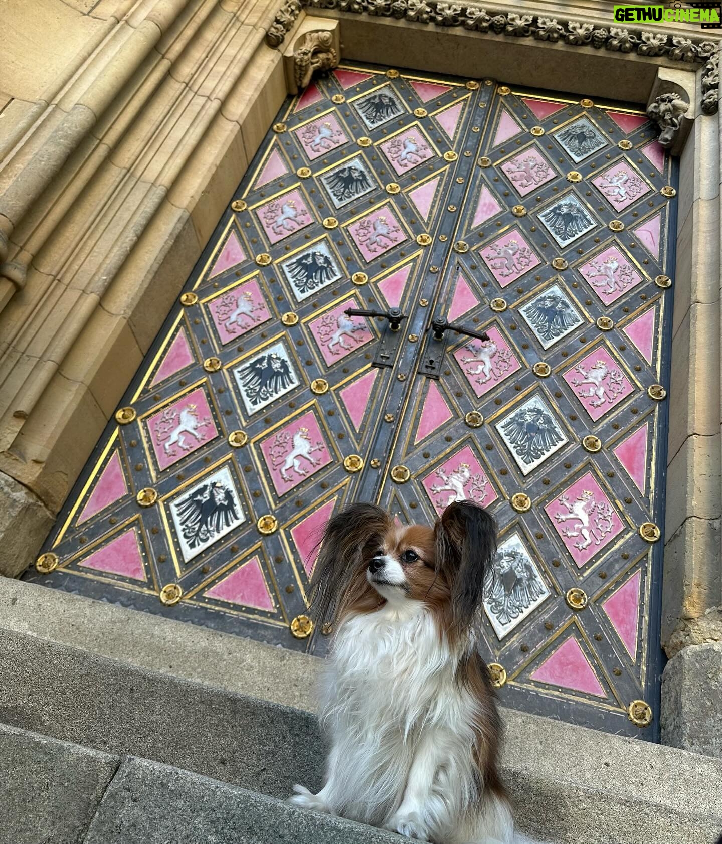 Kveta Horváthová - 3 Likes - Pár dní v Prahe… Aj s malou cestovateľkou Fany 🐶, ktorá bola opäť hviezdou pre domácich i turistov 😄
#vylet #praha #vprazejeblaze #pamiatky #zazitky #oddych