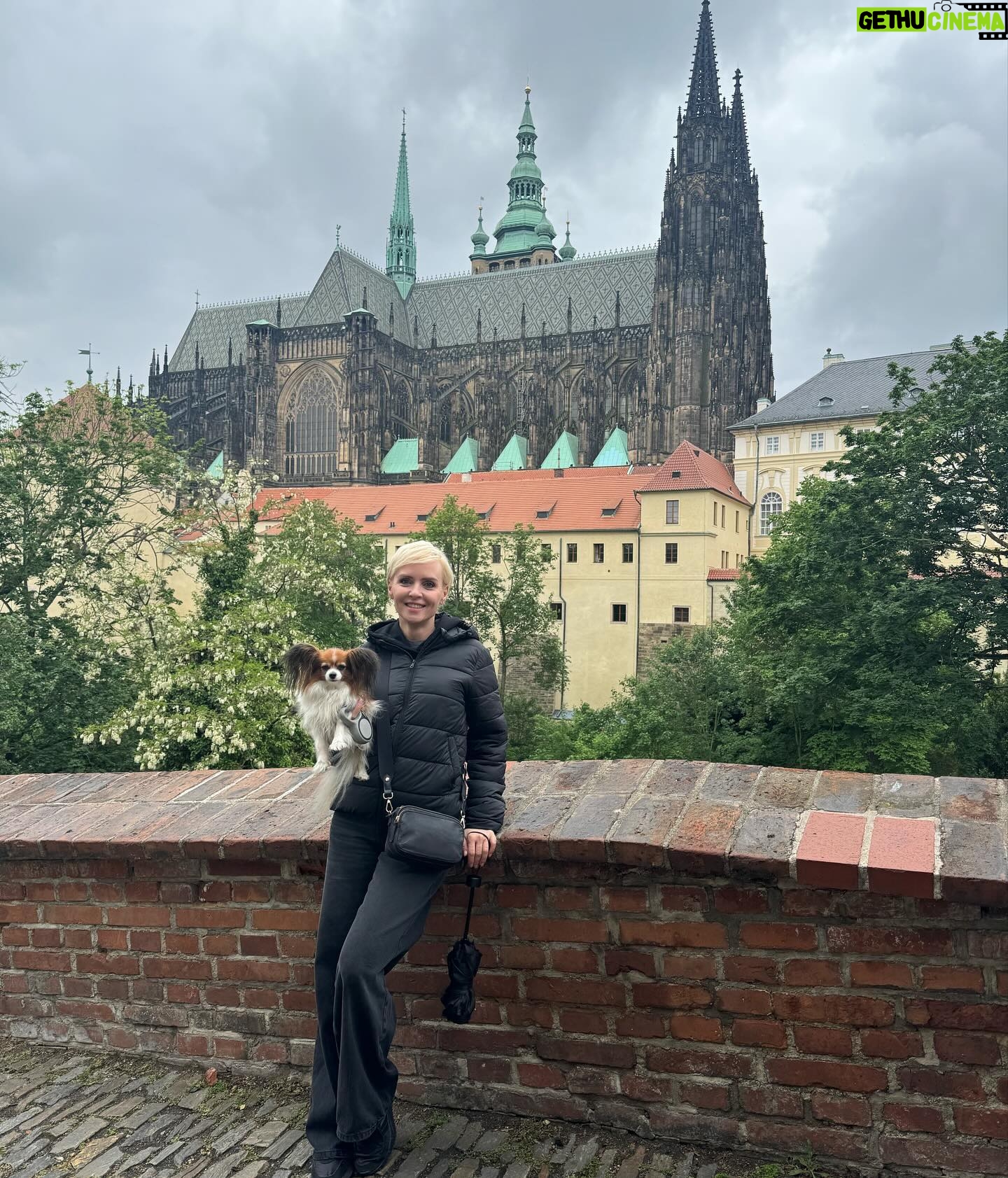 Kveta Horváthová - 3 Likes - Pár dní v Prahe… Aj s malou cestovateľkou Fany 🐶, ktorá bola opäť hviezdou pre domácich i turistov 😄
#vylet #praha #vprazejeblaze #pamiatky #zazitky #oddych