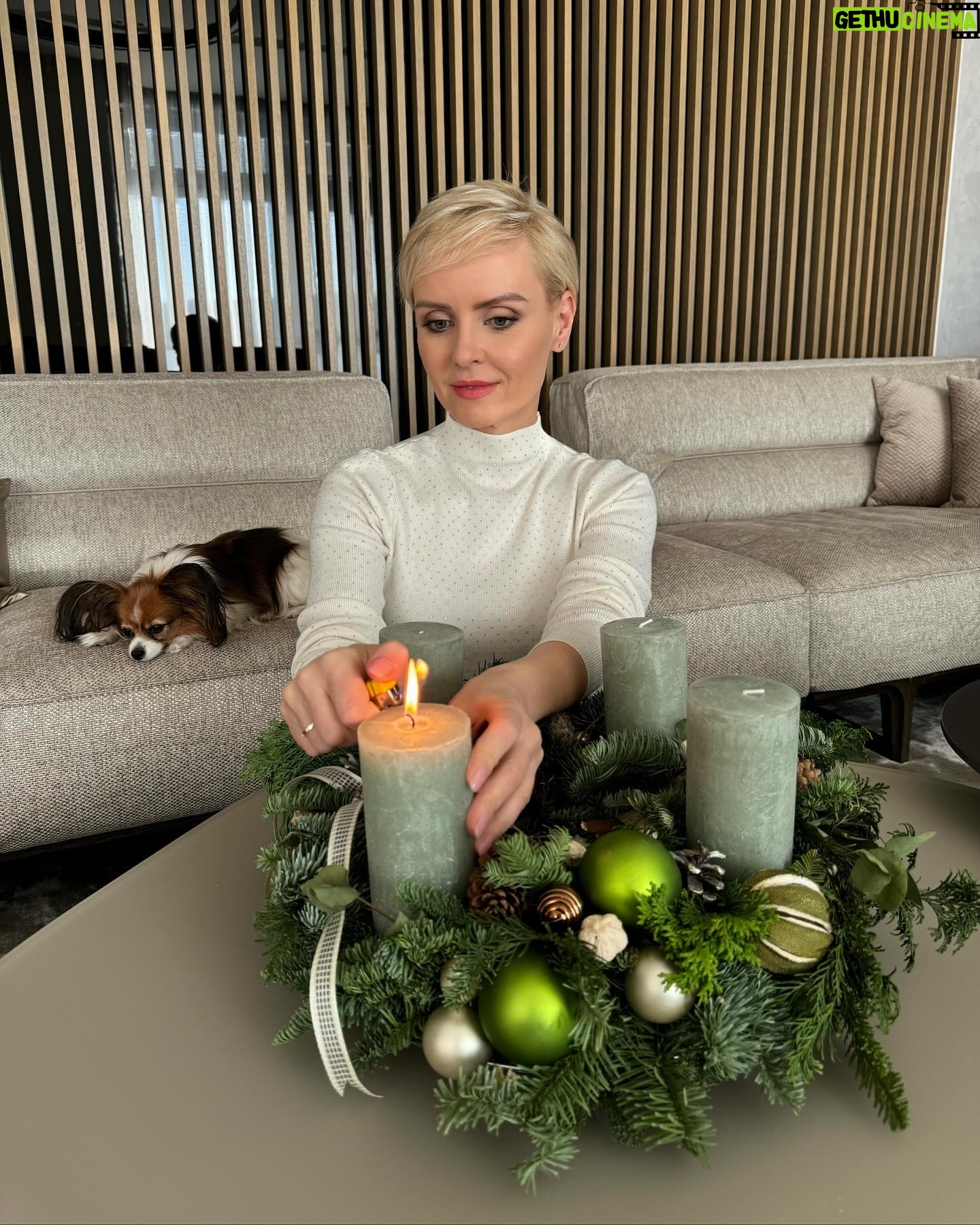 Kveta Horváthová - 3 Likes - Prajem vám peknú 1. adventnú nedeľu 🕯️
#prvaadventnanedela #advent #prvasviecka #vianocesablizia #adventnyveniec @kvetinova_pohotovost