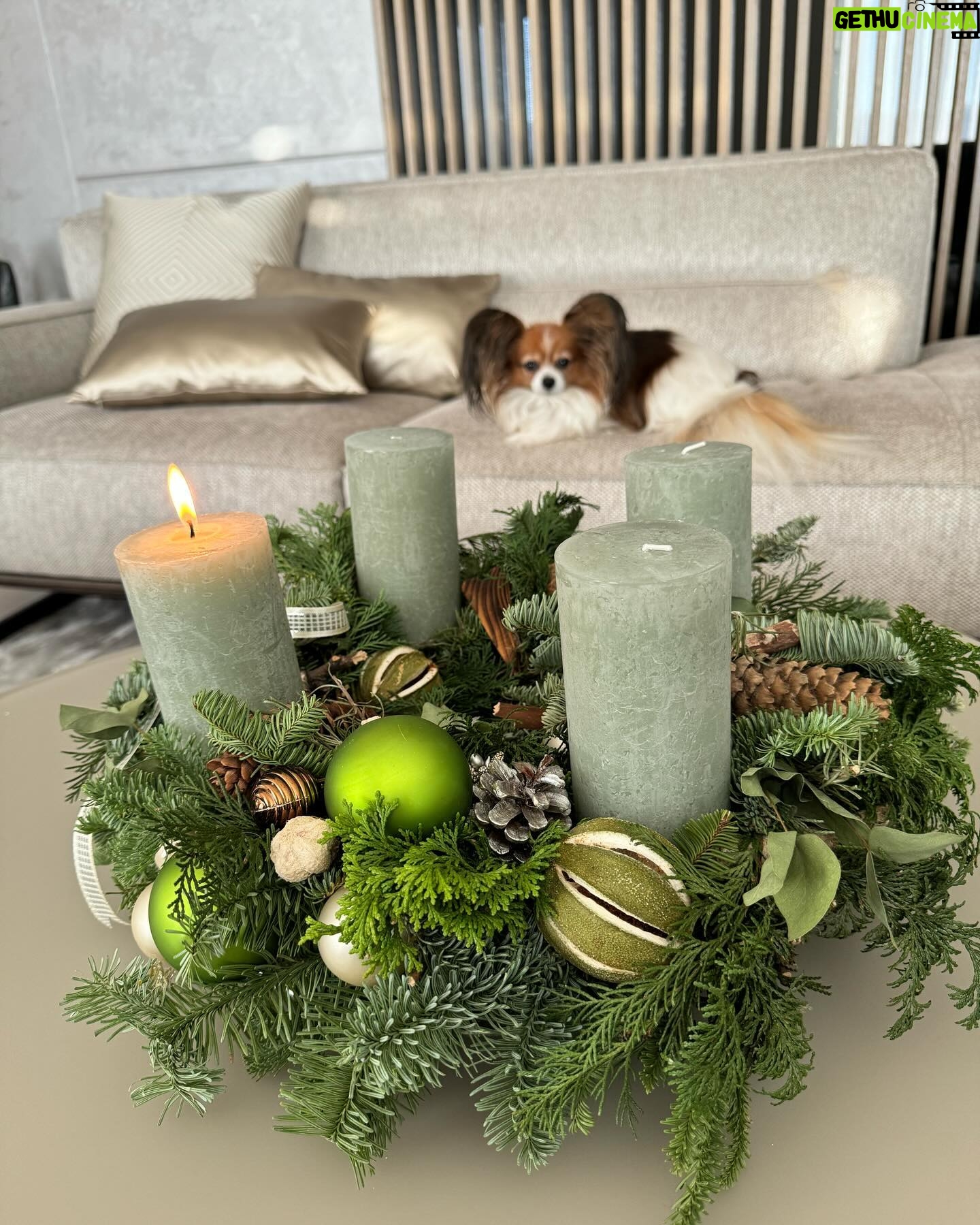 Kveta Horváthová - 3 Likes - Prajem vám peknú 1. adventnú nedeľu 🕯️
#prvaadventnanedela #advent #prvasviecka #vianocesablizia #adventnyveniec @kvetinova_pohotovost