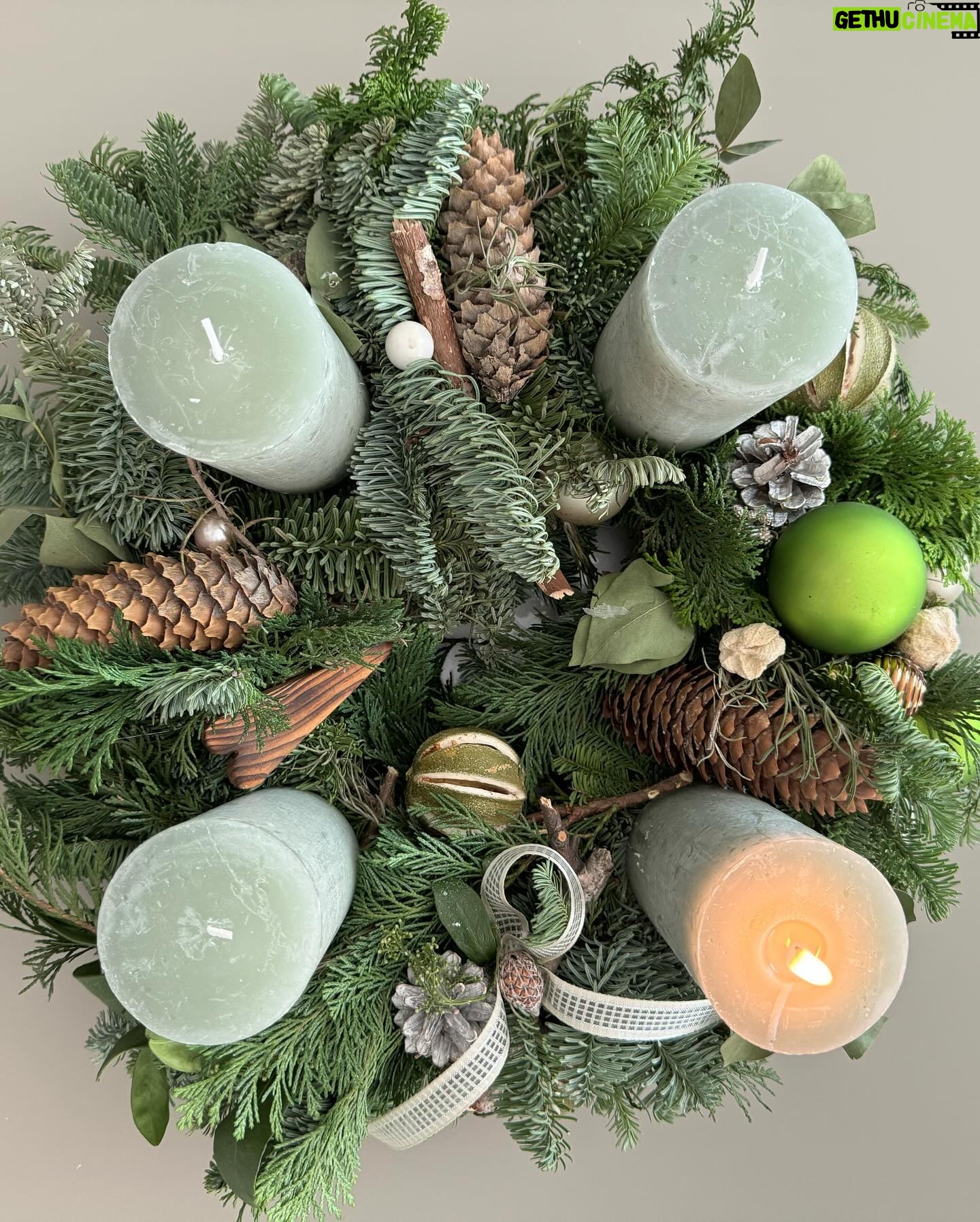 Kveta Horváthová - 3 Likes - Prajem vám peknú 1. adventnú nedeľu 🕯️
#prvaadventnanedela #advent #prvasviecka #vianocesablizia #adventnyveniec @kvetinova_pohotovost