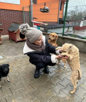 Kveta Horváthová Instagram - Milý Ježiško!

Prosím Ťa, buď opatrný pri splnení takého priania, akým je psík ako darček pod stromček 🙏🏻 Zvieratko nie je hračka, je to živý tvor, ktorý má svoje potreby.
Potrebuje našu pozornosť, starostlivosť a lásku. Nie je to parťák len do pekného počasia… 
Nie je to parťák len na prázdniny… Len na chvíle, keď sa to nám hodí…
Nech neskončia po sviatkoch tieto bezbranné živé tvory na ulici. 
Nech nie sú útulky, ktoré už teraz praskajú vo švíkoch, ešte plnšie…
Nech si tí, ktorí túžia po takomto členovi rodiny, vyskúšajú, čo to obnáša mať doma psíka, aké to je, napríklad aj tak, že navštívia útulok a pomáhajú…Napríklad venčením…

Ďakujem ❤️

#zvieraniejevec #zvieraniejehracka #utulok @slobodazvierat