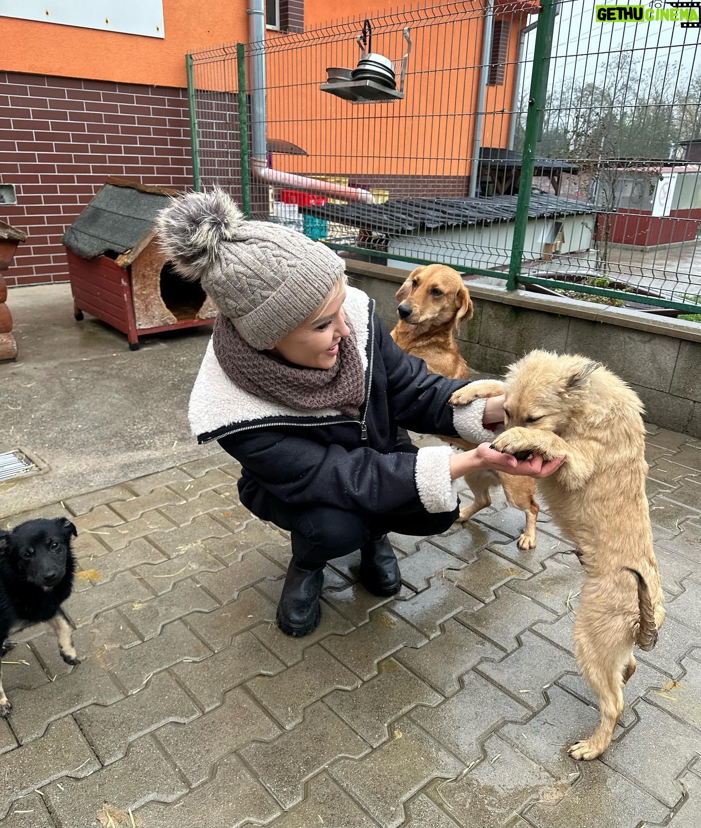 Kveta Horváthová - 3 Likes - Milý Ježiško!
Prosím Ťa, buď opatrný pri splnení takého priania, akým je psík ako darček pod stromček 🙏🏻 Zvieratko nie je hračka, je to živý tvor, ktorý má svoje potreby.
Potrebuje našu pozornosť, starostlivosť a lásku. Nie je to parťák len do pekného počasia…
Nie je to parťák len na prázdniny… Len na chvíle, keď sa to nám hodí…
Nech neskončia po sviatkoch tieto bezbranné živé tvory na ulici.
Nech nie sú útulky, ktoré už teraz praskajú vo švíkoch, ešte plnšie…
Nech si tí, ktorí túžia po takomto členovi rodiny, vyskúšajú, čo to obnáša mať doma psíka, aké to je, napríklad aj tak, že navštívia útulok a pomáhajú…Napríklad venčením…
Ďakujem ❤️
#zvieraniejevec #zvieraniejehracka #utulok @slobodazvierat