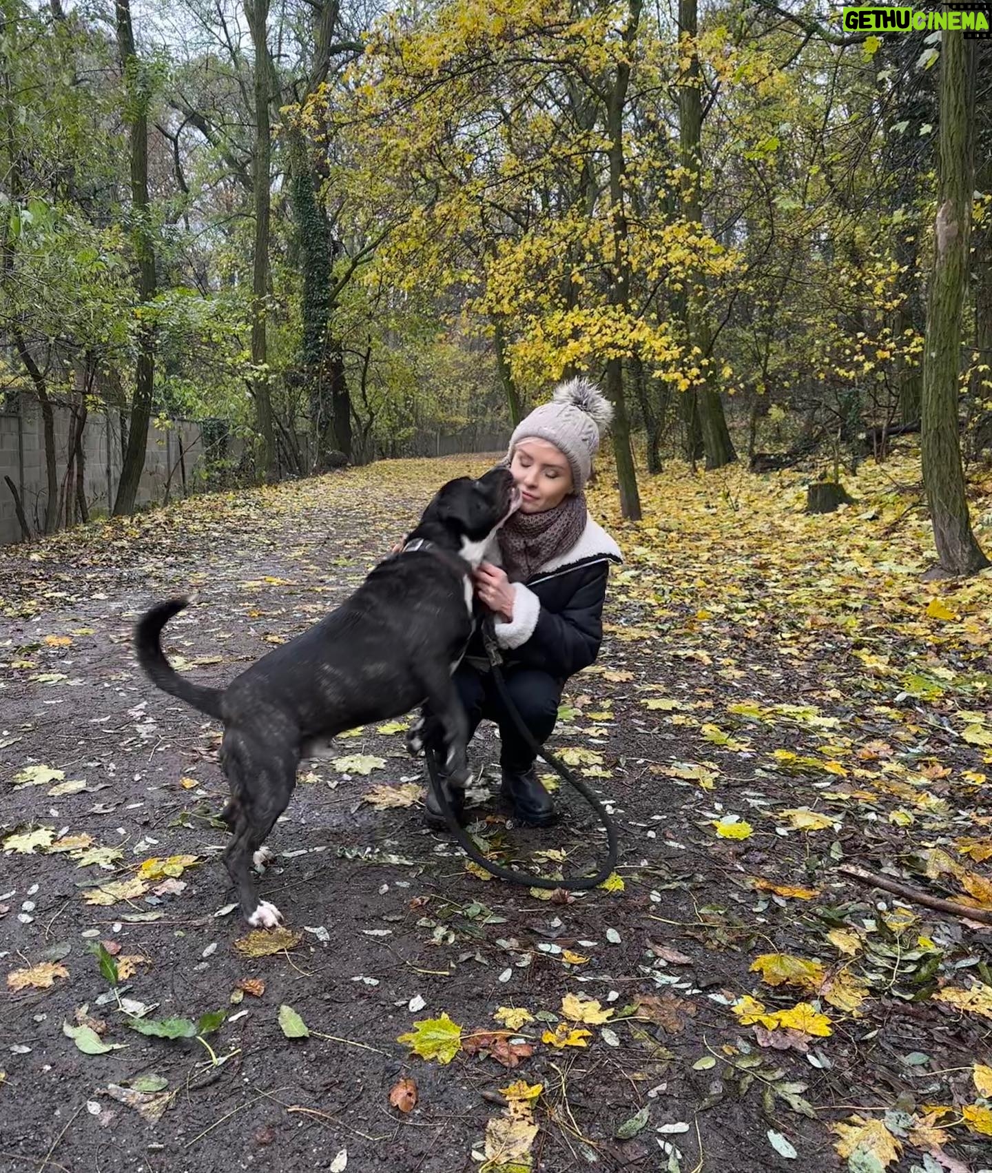 Kveta Horváthová - 3 Likes - Milý Ježiško!
Prosím Ťa, buď opatrný pri splnení takého priania, akým je psík ako darček pod stromček 🙏🏻 Zvieratko nie je hračka, je to živý tvor, ktorý má svoje potreby.
Potrebuje našu pozornosť, starostlivosť a lásku. Nie je to parťák len do pekného počasia…
Nie je to parťák len na prázdniny… Len na chvíle, keď sa to nám hodí…
Nech neskončia po sviatkoch tieto bezbranné živé tvory na ulici.
Nech nie sú útulky, ktoré už teraz praskajú vo švíkoch, ešte plnšie…
Nech si tí, ktorí túžia po takomto členovi rodiny, vyskúšajú, čo to obnáša mať doma psíka, aké to je, napríklad aj tak, že navštívia útulok a pomáhajú…Napríklad venčením…
Ďakujem ❤️
#zvieraniejevec #zvieraniejehracka #utulok @slobodazvierat