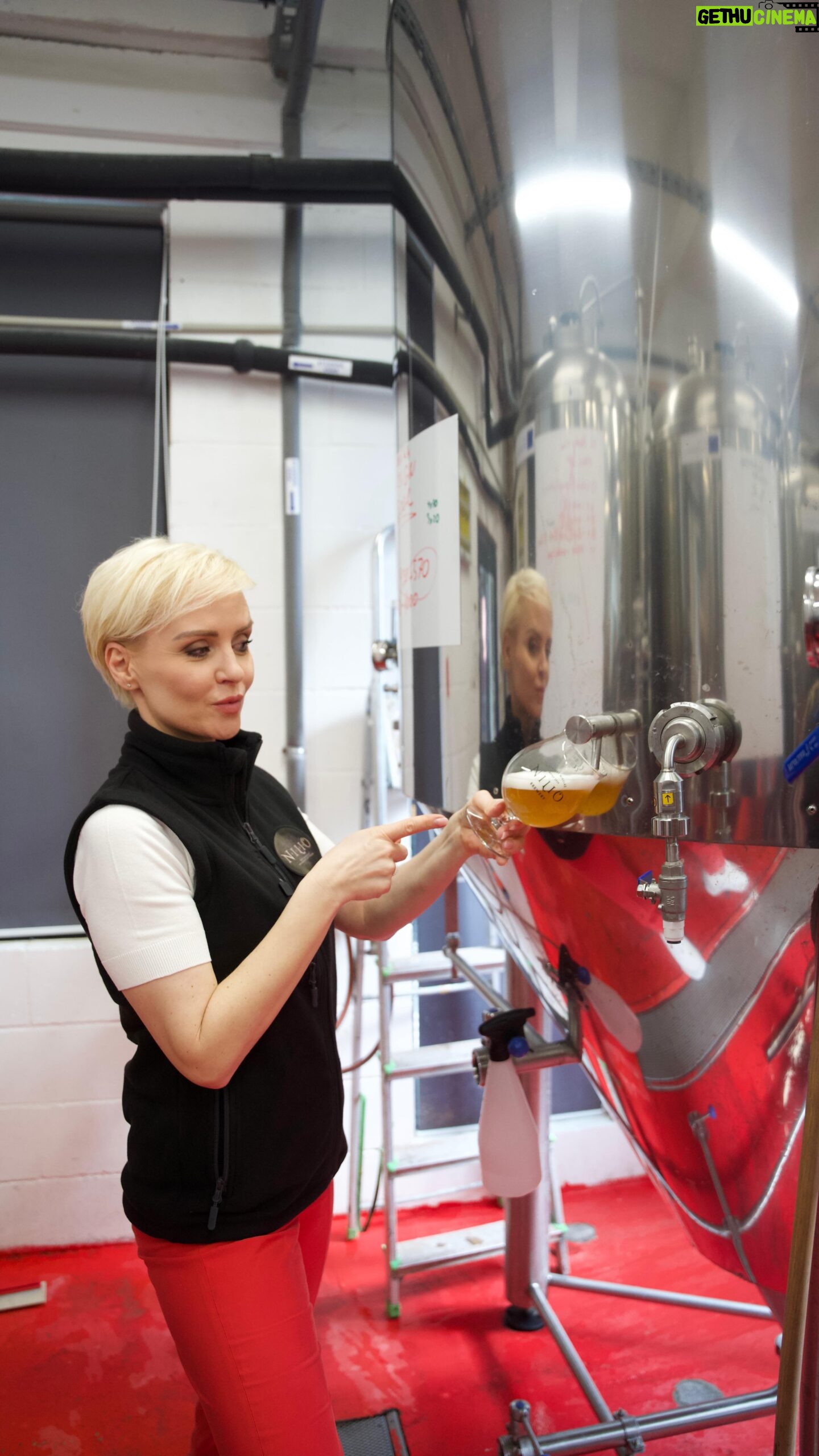 Kveta Horváthová - 3 Likes - Šikovným Slovákom sa podarilo vyrobiť nealko pivo, ktoré chutí úplne ako to klasické.
Používajú totiž špeciálne kvasinky, ktoré pod stresom neprodukujú alkohol. Je to hotová veda a na prvé čapované si v Liptovskom Mikuláši museli počkať dlhé dva roky.
A všetci tí, ktorí si radi doprajú pivko pri športe, na bicykli, alebo počas pracovného obeda, to určite ocenia 😉
V rámci projektu „Z lásky k Slovensku“ s @kauflandslovensko , ktorý už celé roky podporuje našich, domácich dodávateľov, som tentokrát navštívila remeselný pivovar NILIO na Liptove. Stretla som tam milých, srdečných ľudí, vďaka ktorým vládne v ich práci príjemná, doslova rodinná atmosféra.
“Keď ľudia začali naše pivo vracať čašníkom naspäť so slovami : Ale my sme chceli nealko... Vedeli sme, že sme na dobrej ceste.“ Prezradili mi v pivovare.
Ak vás prepadne smäd a chuť na naozaj dobré remeselné nealko, v máji ho nájdete v každom Kauflande po celom Slovensku.
#kaufland #kauflandslovensko #domacepotraviny #slovenskidodavatelia #slovensko *spolupraca