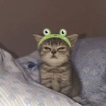 Kyla Kenedy Instagram – same energy